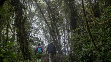 Senderismo, ríos y ganadería: Todo lo que puede hacer cerca del Parque Nacional Tapantí
