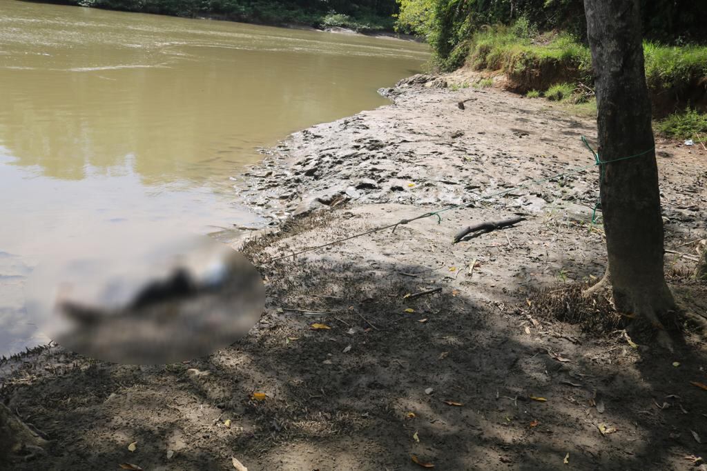 A Mauricio Rodríguez Mayorga, alias Pitillo, lo hallaron sin vida en río Coto en Golfito.