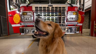 Bomberos se despide de uno de los grandes héroes que ha tenido en los últimos años
