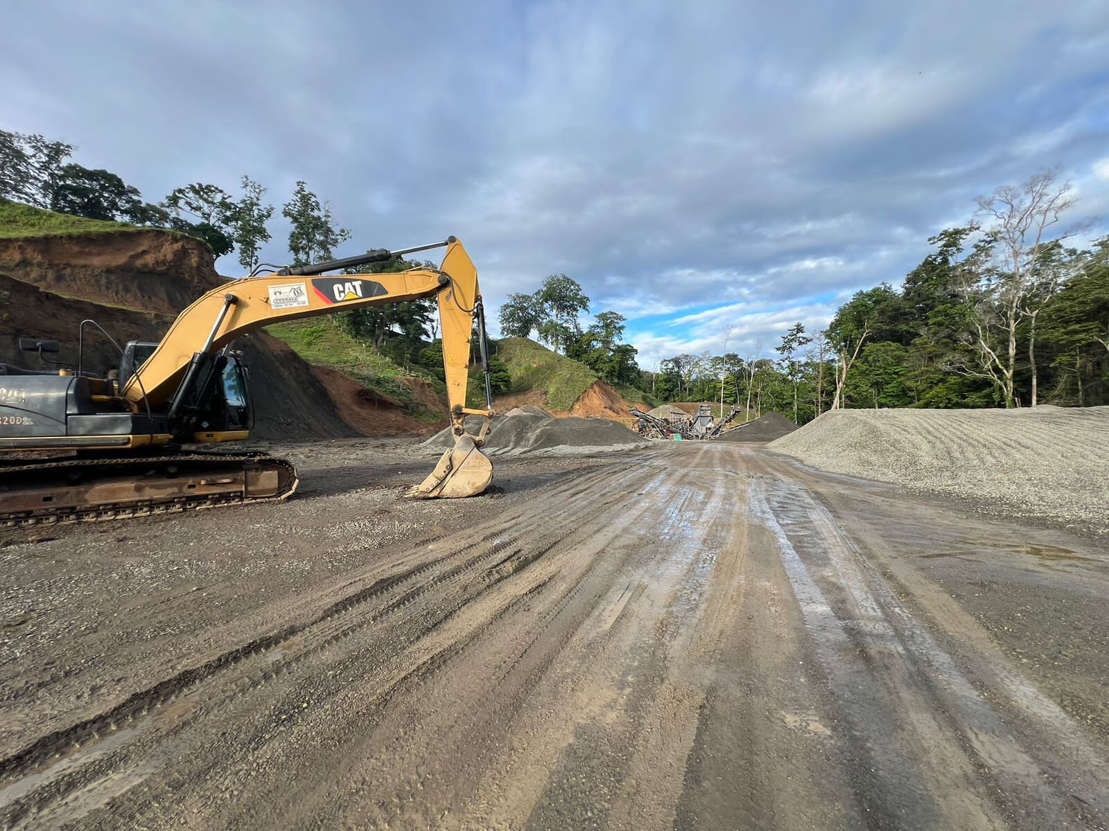 quebrador pecho de rata