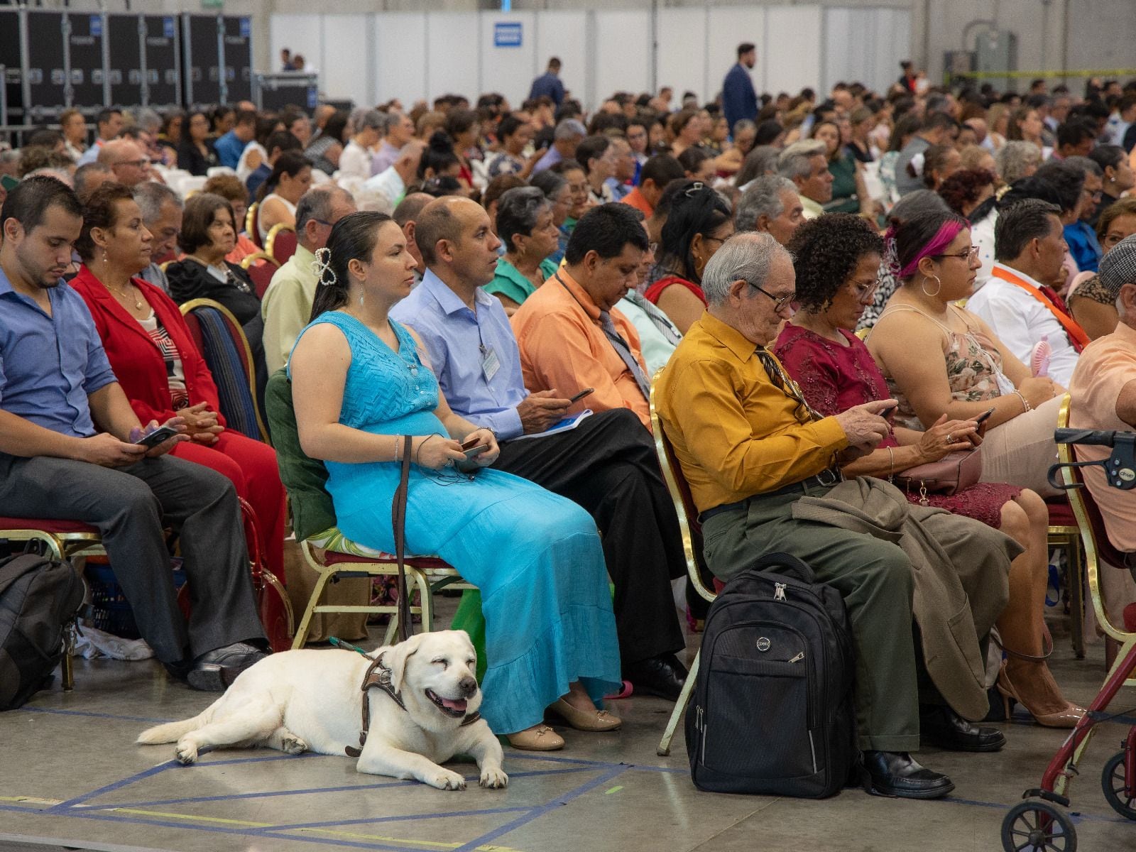 Los Testigos de Jehová están listos para presentar su esperada asamblea anual de tres días durante cuatro fines de semana consecutivos, cuyo lema este 2025 es justamente ese: “Adoración pura”.