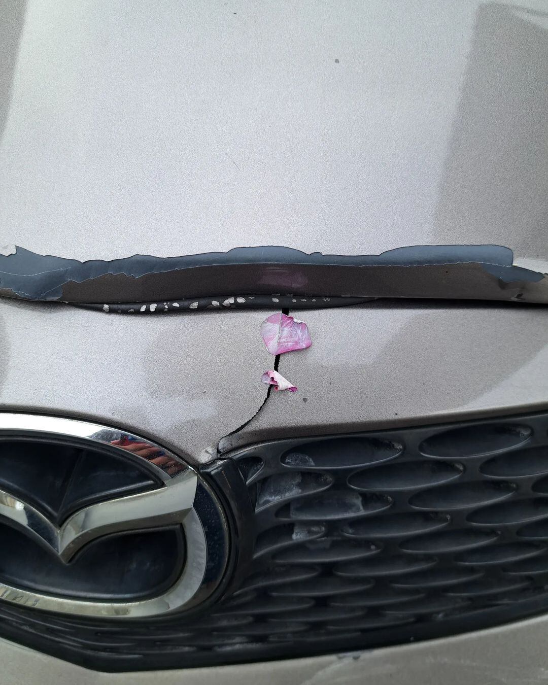 Bryan Villalobos, tu cara me suena