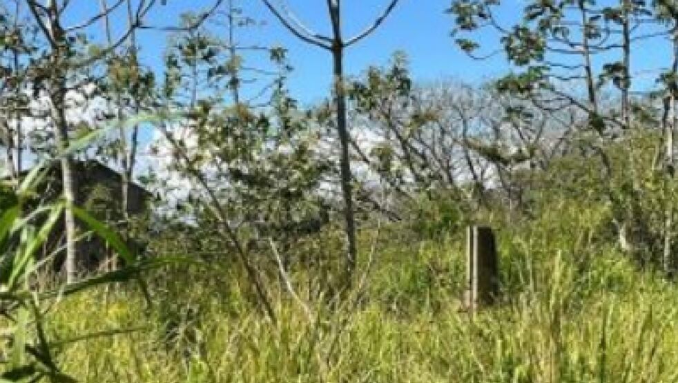 Banco de Costa Rica tiene varios terrenos y casas disponibles a la venta con descuentos.