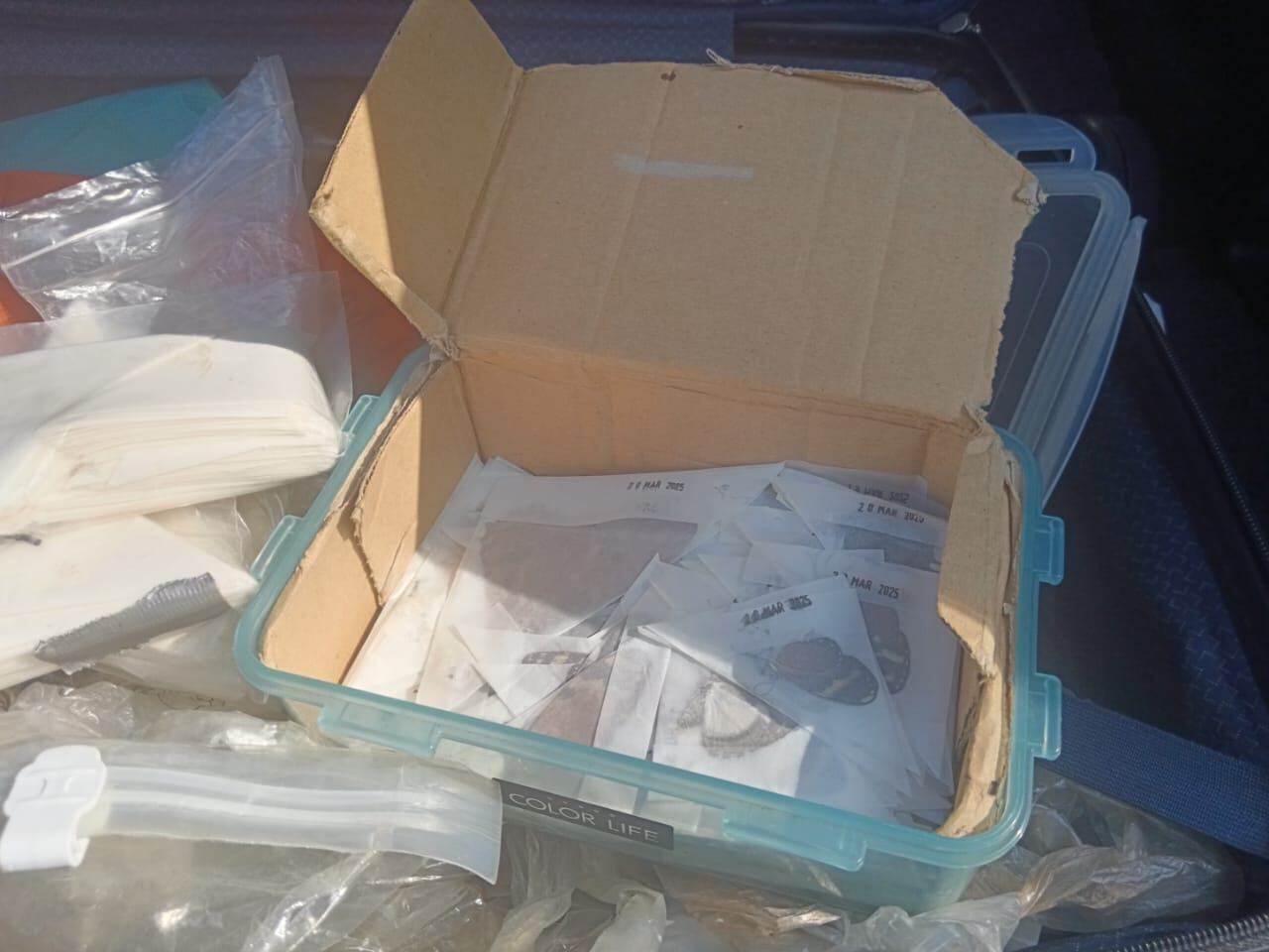 Japonés fue detenido con gran cantidad de mariposas