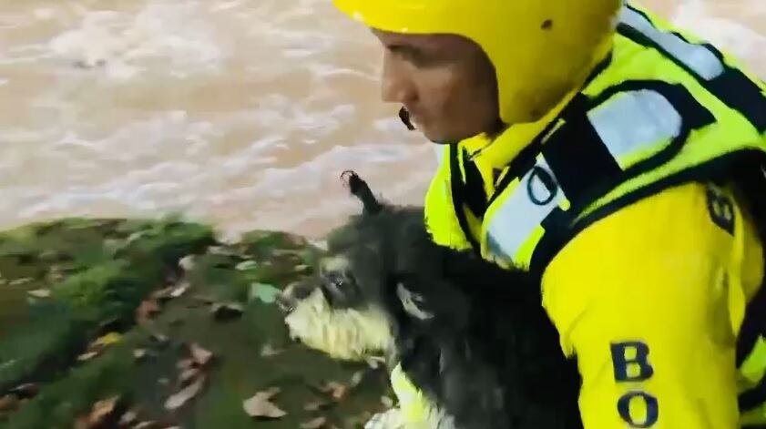 Rescate de familia atrapada en río en San Mateo de Alajuela. Foto Bomberos.