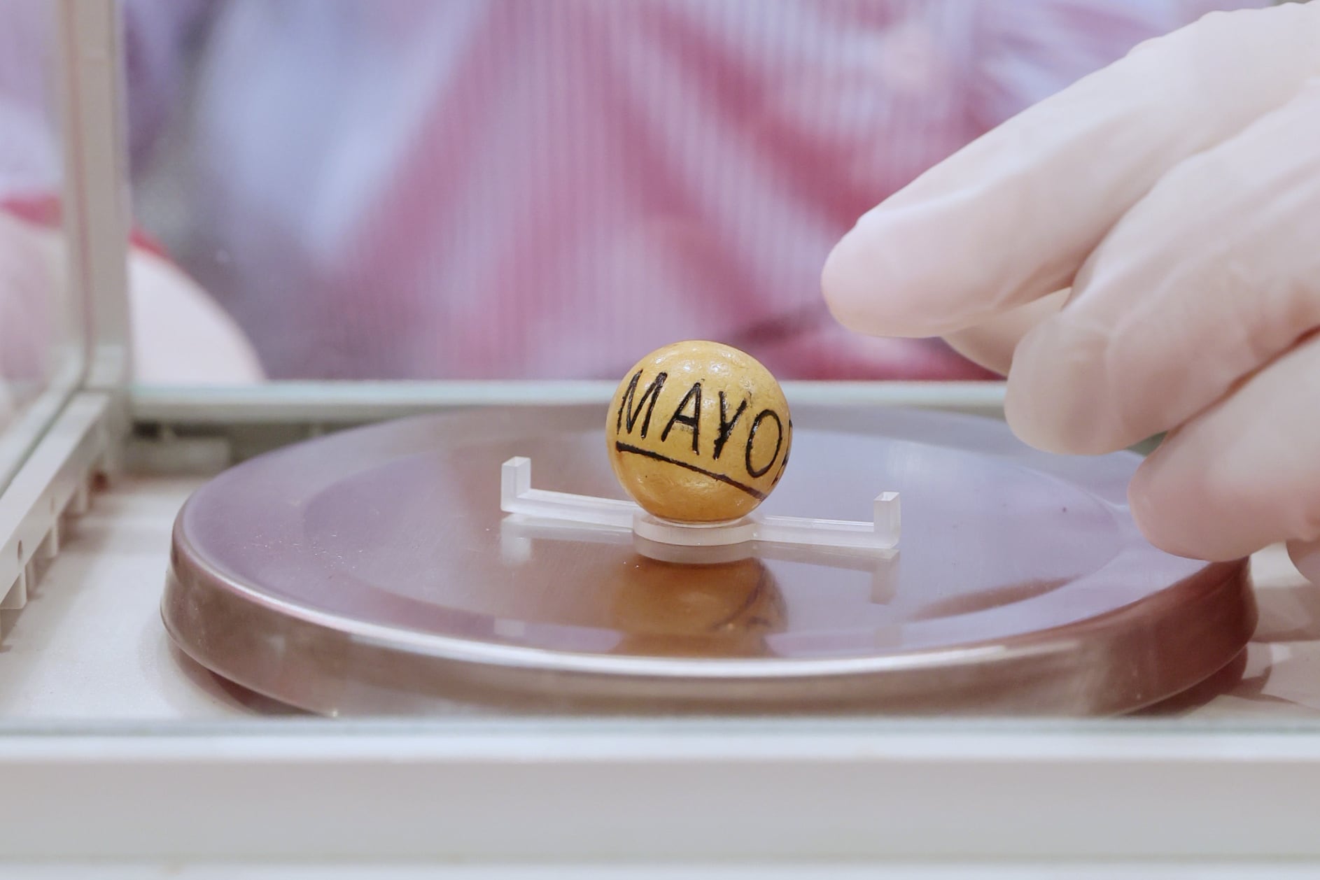 Funcionarios de la Junta de Protección Social JPS pesan las bolitas del sorteo del Gordo Navideño 2024