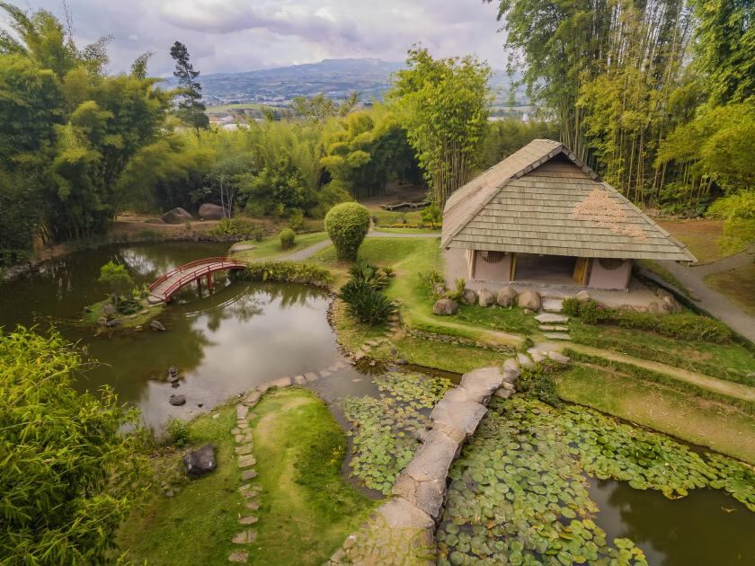 El Jardín Japonés es uno de los mayores atractivos del Jardín Botánico Lankester (Foto: Jardín Botánico Lankester)