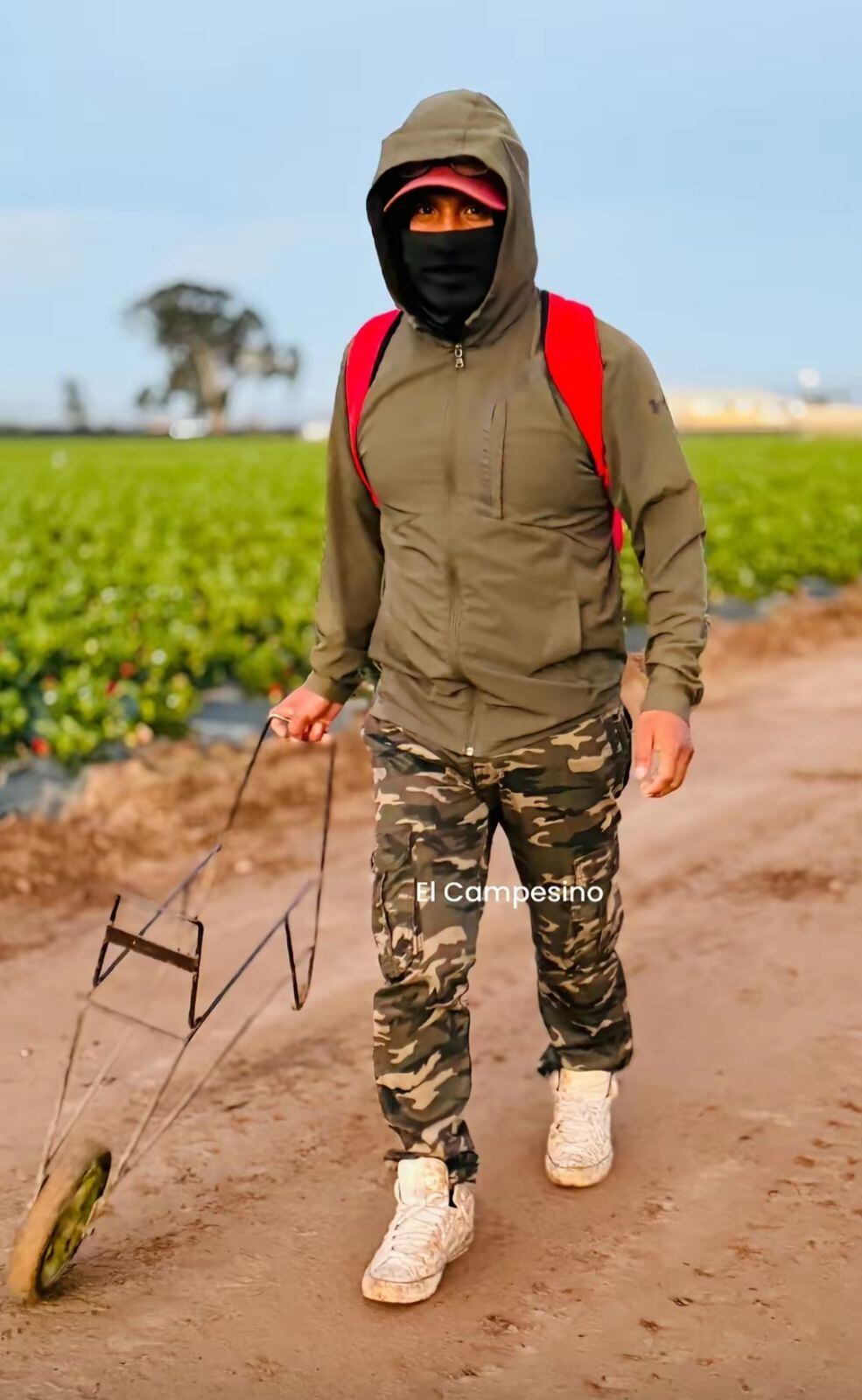 Campes1no en Estados Unidos