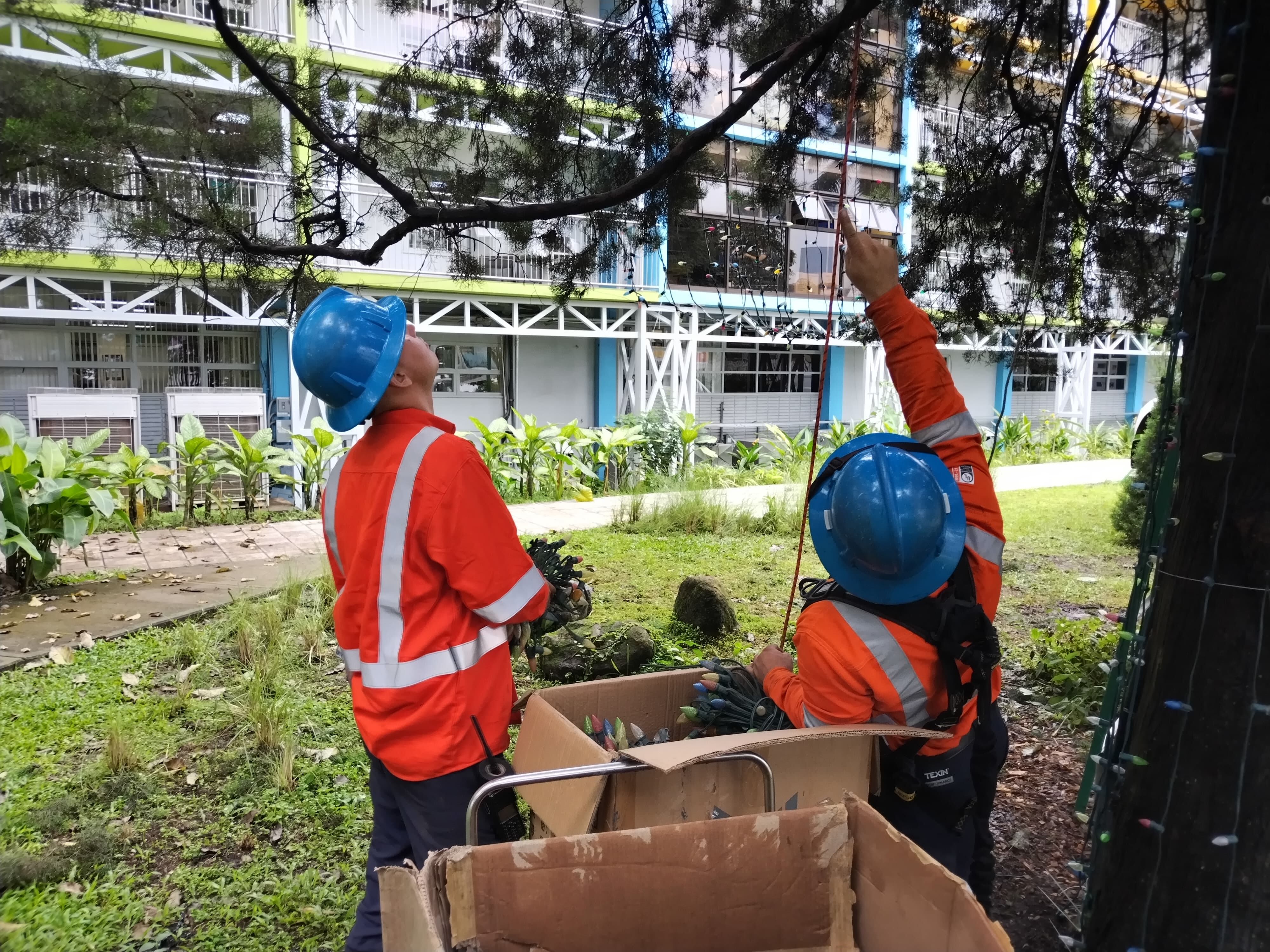Tremenda alegría nos llevamos cuando pudimos confirmar que al arbolito de Navidad del Hospital Nacional de Niños (HNN) ya le están poniendo las lucecitas que iluminarán la alegría de miles de niños en todo el país, principalmente, a los pequeñitos que están en ese hospital. En la foto, Marcelino Arce y Dany Gómez del departamento de Alumbrado Público de la CNFL