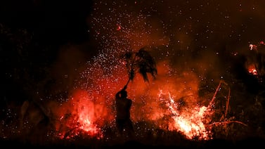 Primer incendio forestal del 2026 golpea en las cercanías del aeropuerto de Liberia