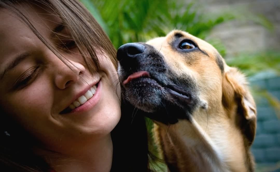 Terremoto de Cinchona despertó un amor sin medida en una joven y así lo demuestra.