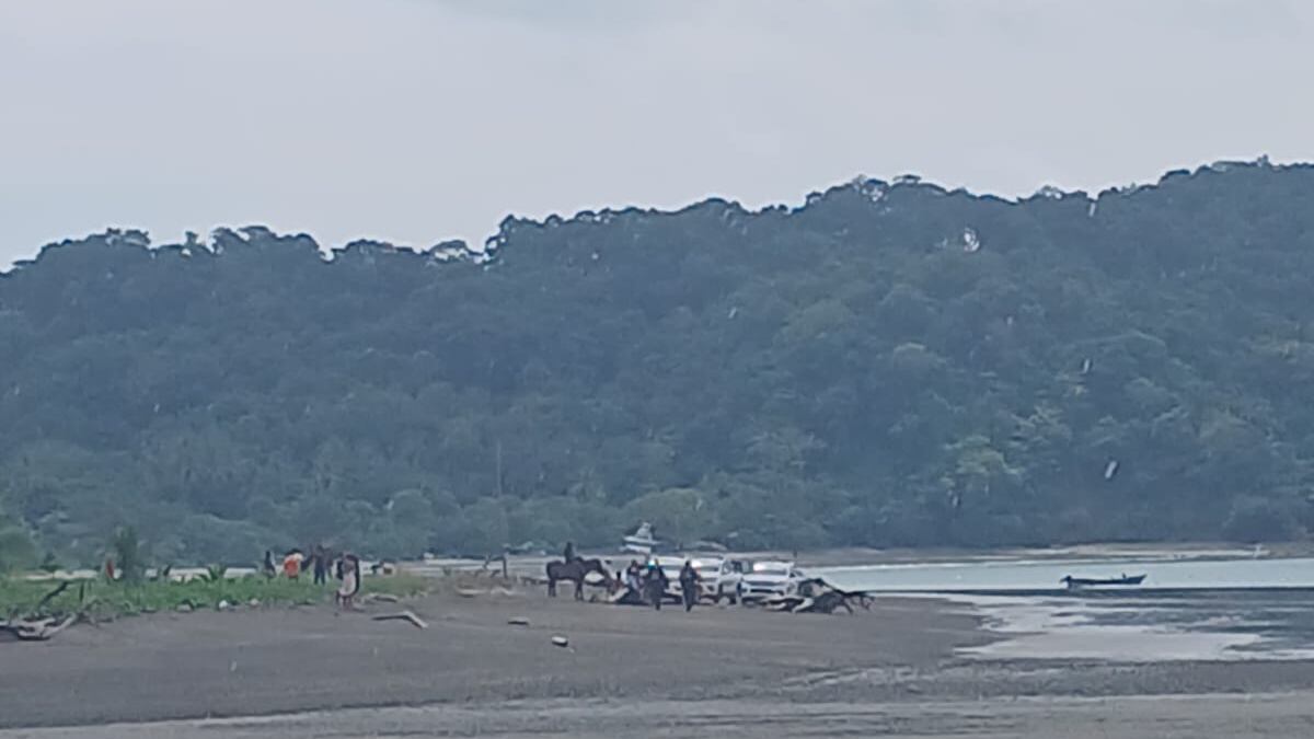 Daniela Escobar Salas, de 30 años, cumplirá una semana que fue vista por última vez, su paradero es incierto y cada día aumenta la incertidumbre al no saber qué pasó con ella. Foto: Tomada de redes sociales