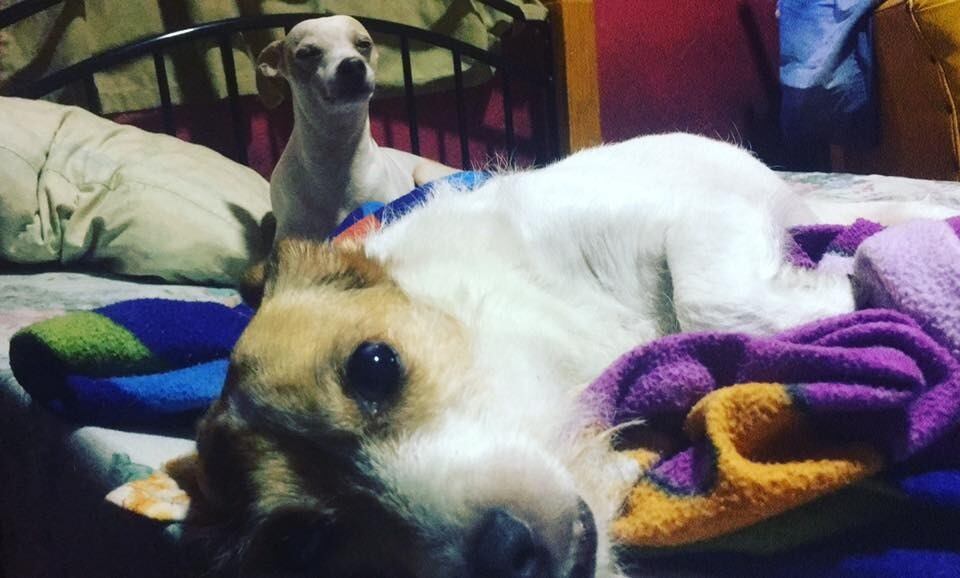 Jackeline Corrales, entrenadora de fut sala con covid-19. Cortesía.