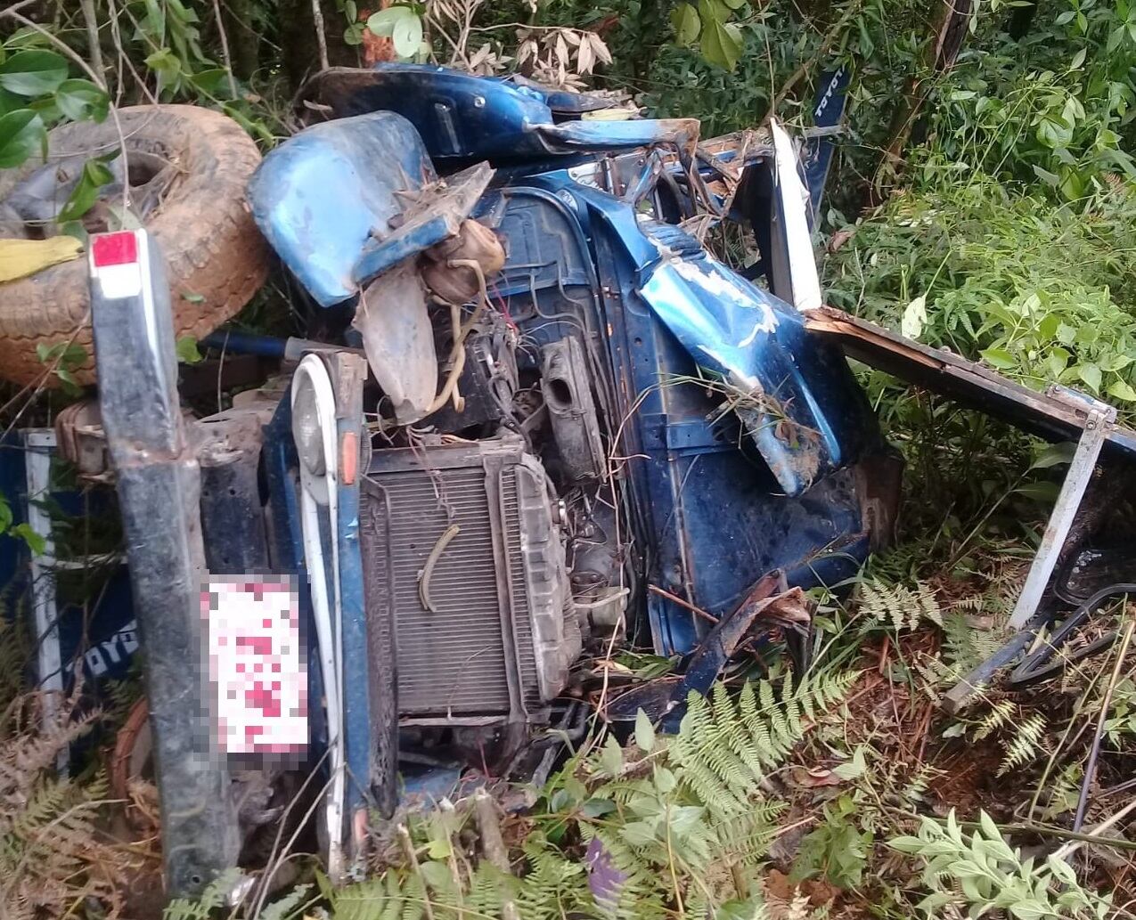 Conductor fallece al caer a guindo en Tarrazú. Foto suministrada por Keyna Calderón.