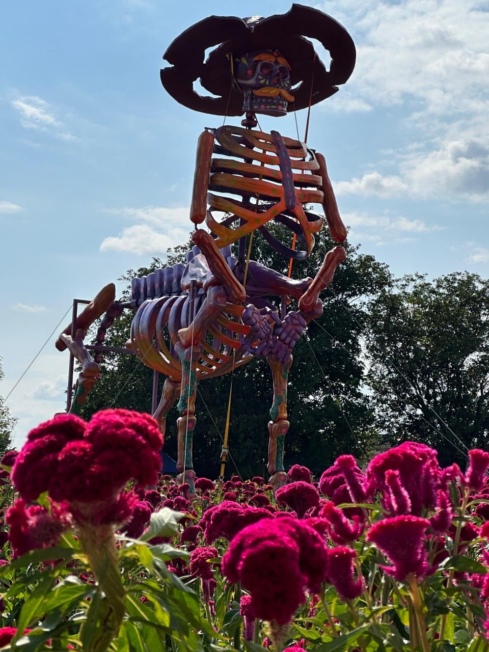 Pancho Villa se impone sobre un campo de flores en Atlixco, México.