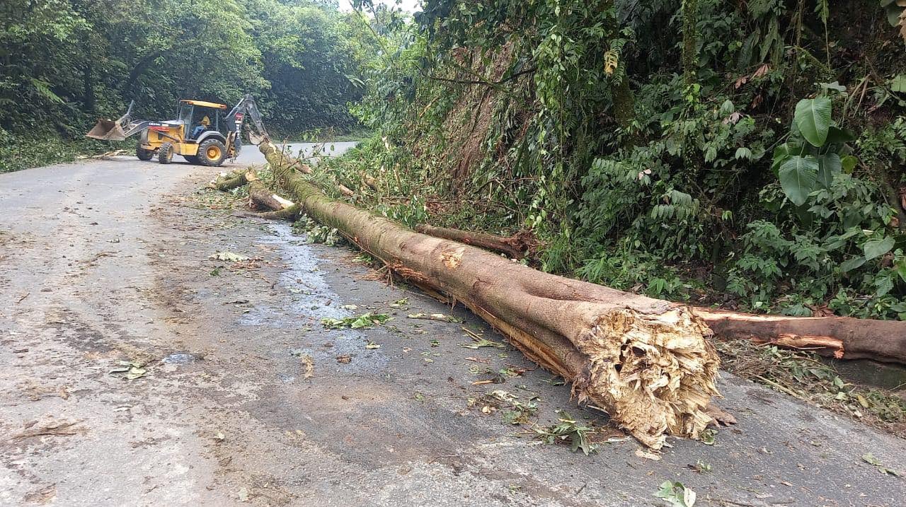 El MOPT señaló que hasta este sábado informarán la reapertura por la carretera Braulio Carrillo. Foto: MOPT