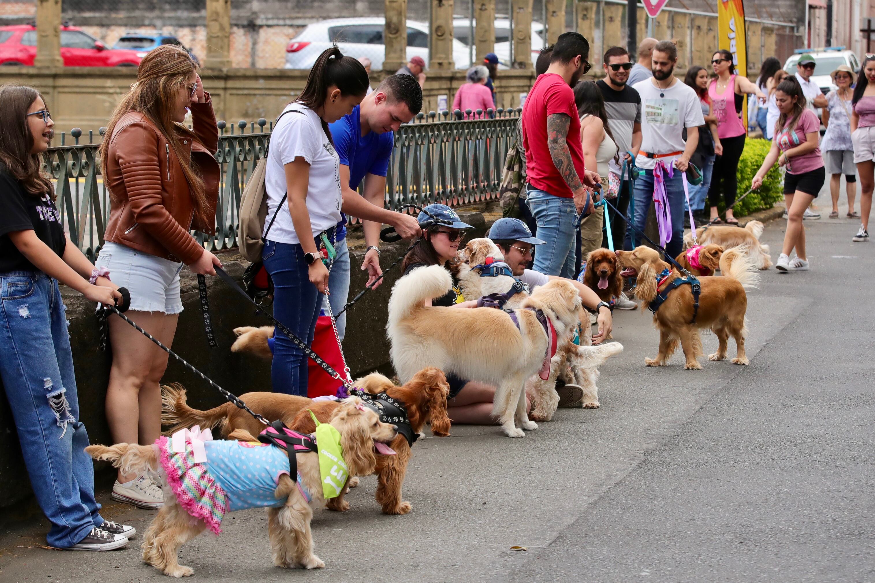 Transitarte San José