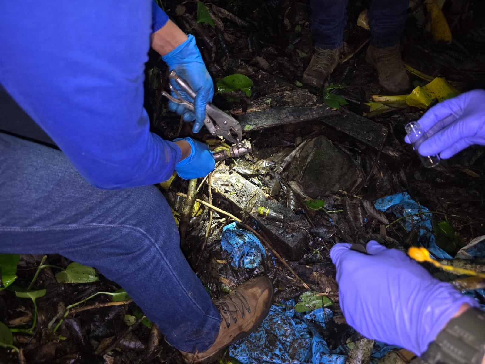 Los investigadores recibieron la alerta a mediados a enero