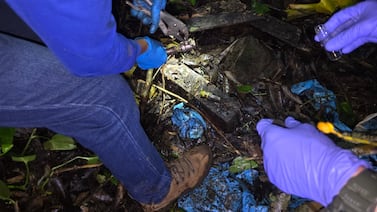 OIJ detiene a dos sospechosos por robo de combustible en Siquirres