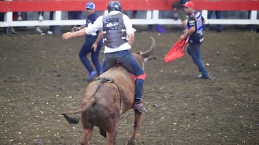 ¡Desde los ₡3.000! Palmares confirma precios para las corridas de toros y entradas gratis para niños