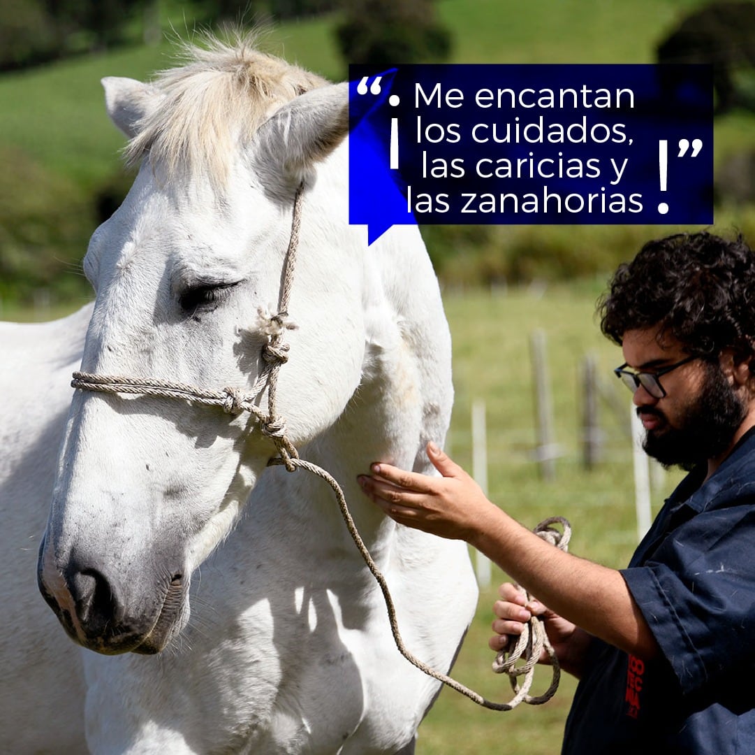 Wendy, Ronald y Chirulo sirvieron la mayor parte de su vida en el Instituto Clodomiro Picado en Coronado. Su trabajo consistió en producir anticuerpos contra las proteínas de los venenos con los cuales eran inmunizados