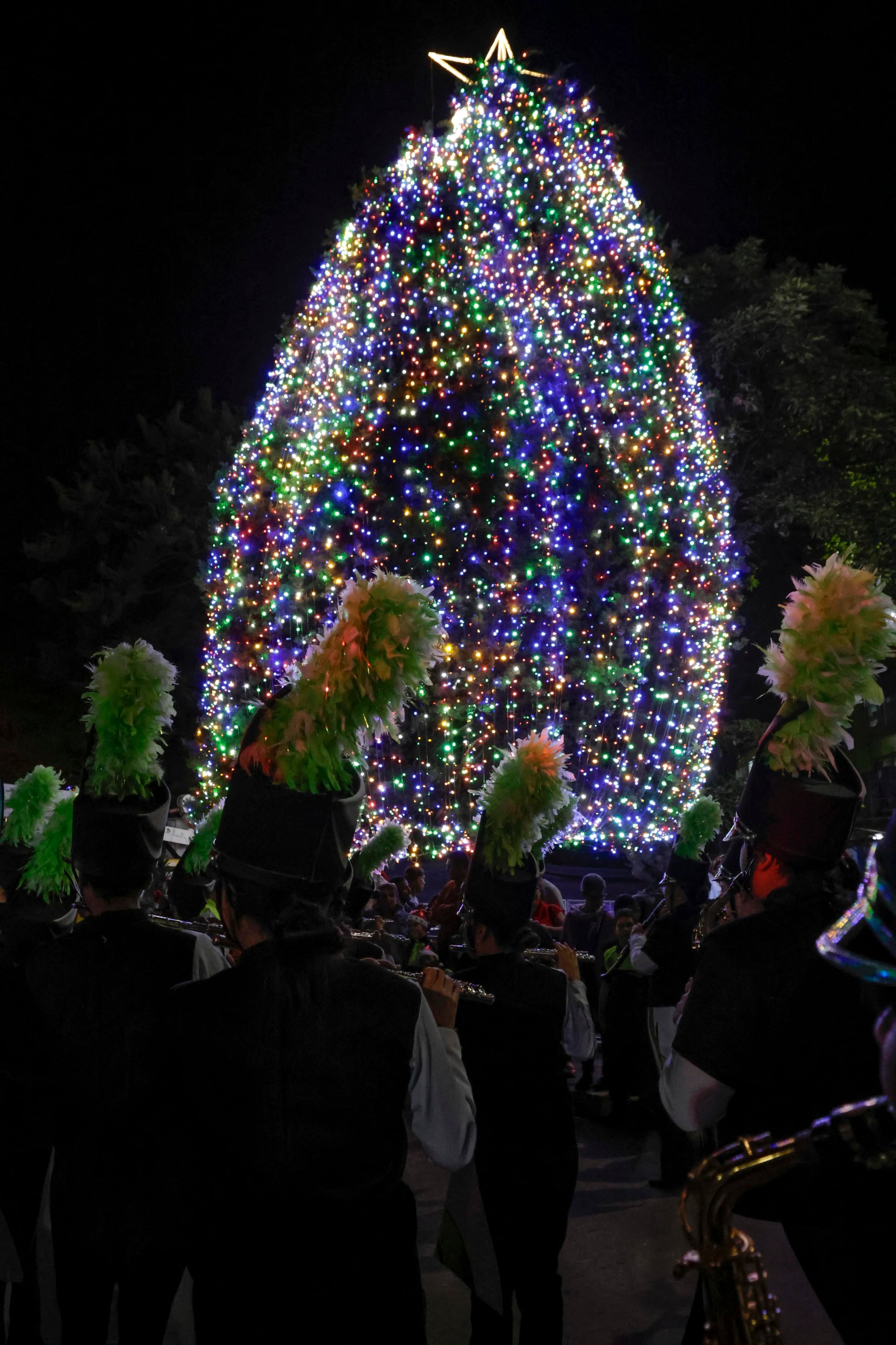 Iluminación Arbol Hospital Nacional de Niños