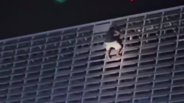 Un tipo se creyó el Hombre Araña al escalar Tribunales de Alajuela