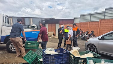 Ministerio de Salud decomisa cinco toneladas de alimentos y clausura local en Alajuelita