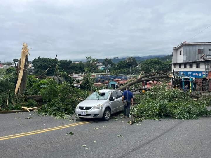 Árbol cae sobre dos carros en San Sebastián