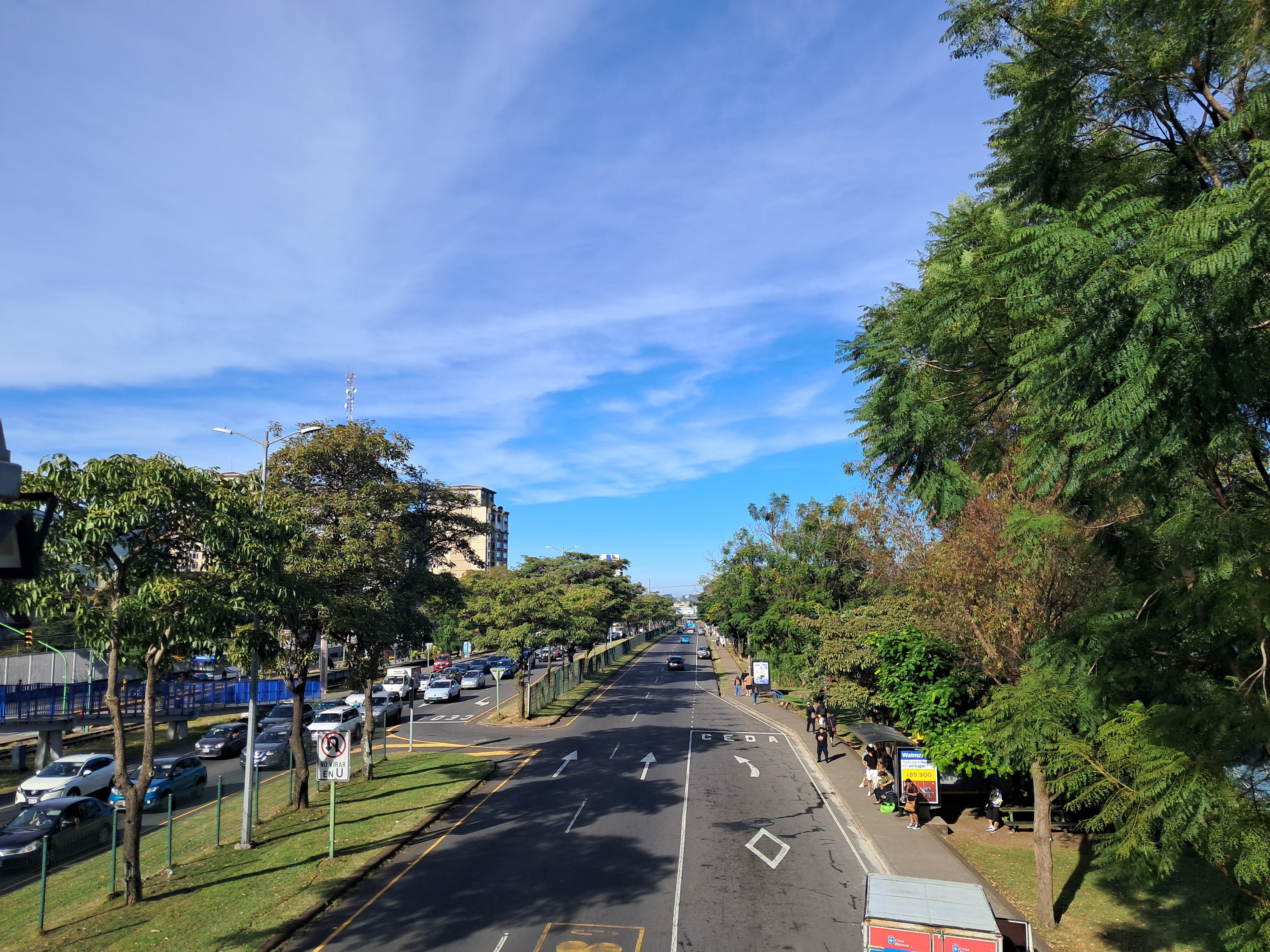 Restricción vehicular en San José no se aplicará por primera vez en el festivo del 31 de agosto, Día de la Persona Negra y la Cultura Afrocostarricense.