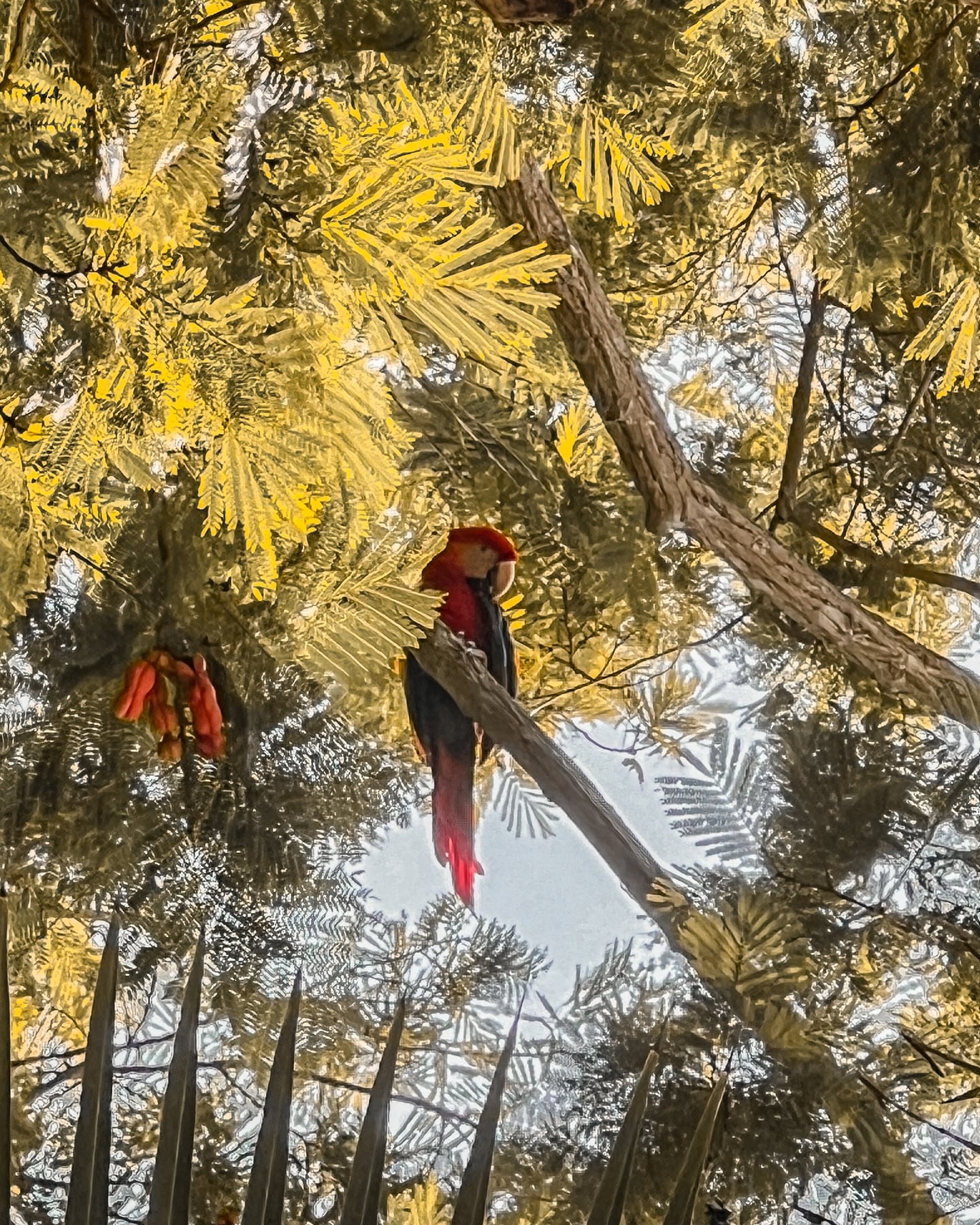 Vanessa González ya tiene ese lugar que la enamora.