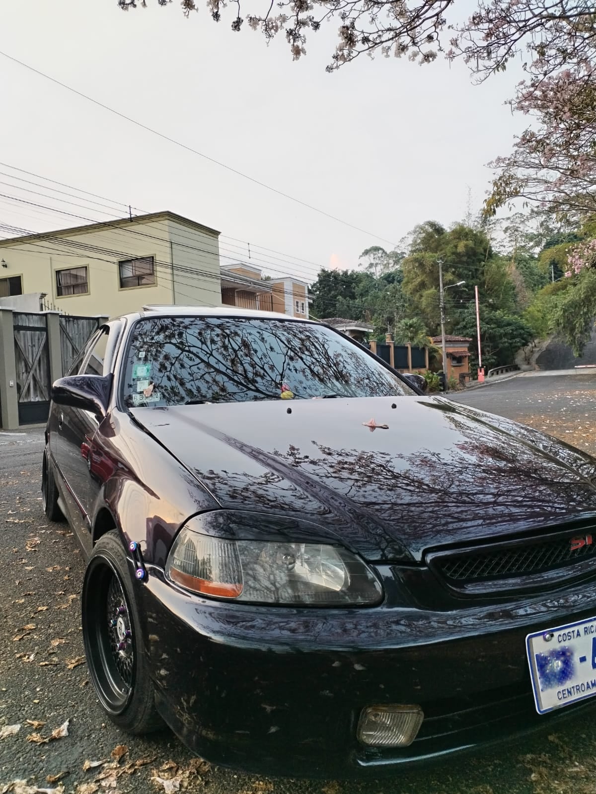 Chuzo de la semana, Kristel Hidalgo, Honda Civic 96a Civic