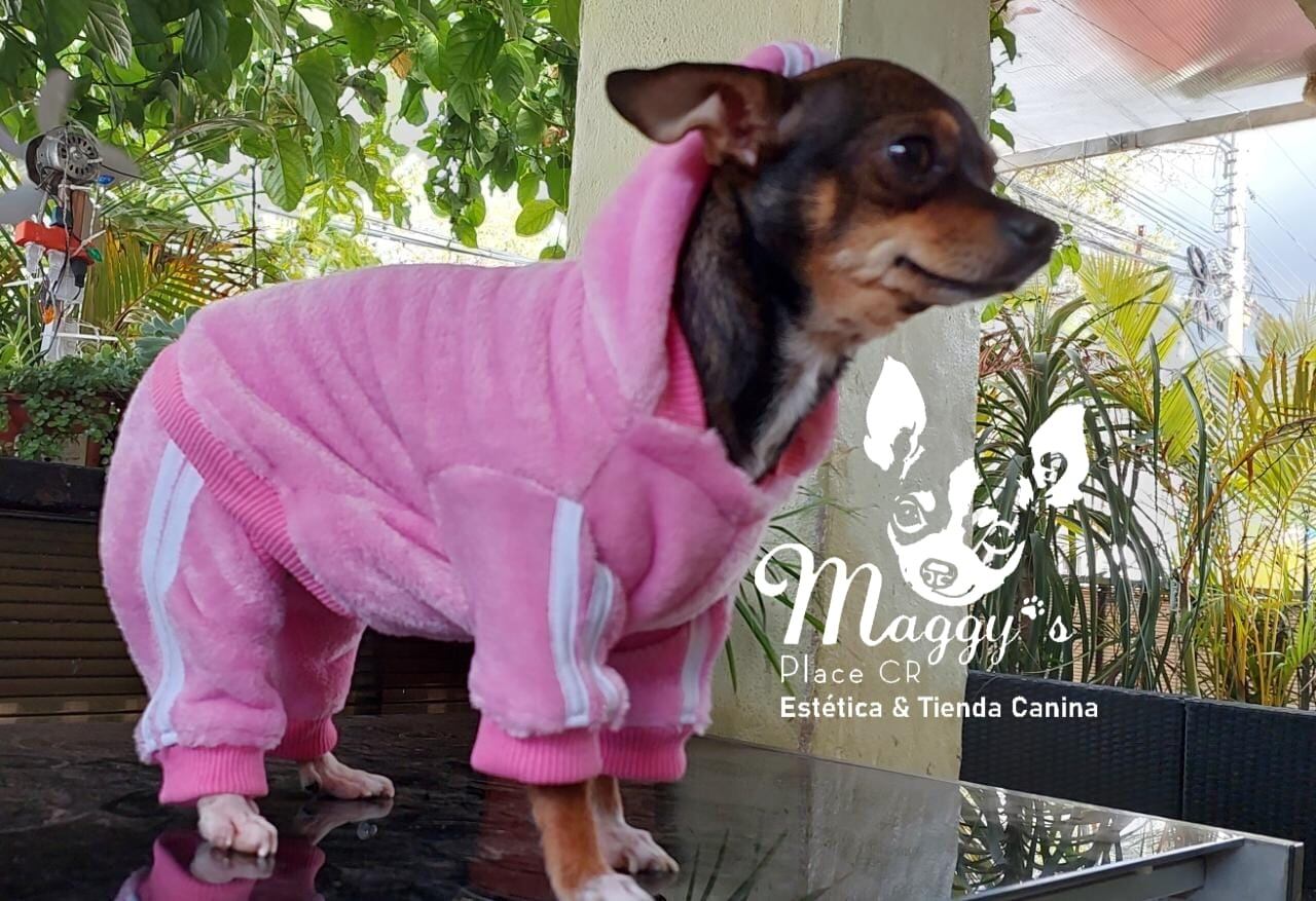 Catalina Alvarado es un ejemplo de cómo con esfuerzo y dedicación se pueden cumplir las metas