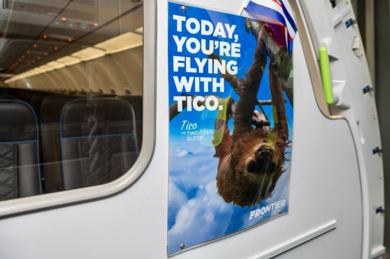 Avión tico perezoso, Estados Unidos