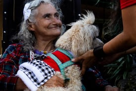 Héroes de cuatro patas: La emotiva historia de la mujer que trajo la zooterapia al país