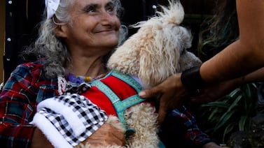 Héroes de cuatro patas: La emotiva historia de la mujer que trajo la zooterapia al país