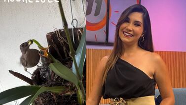 Ginnés Rodríguez aprendió una gran lección del terrible mal que padece