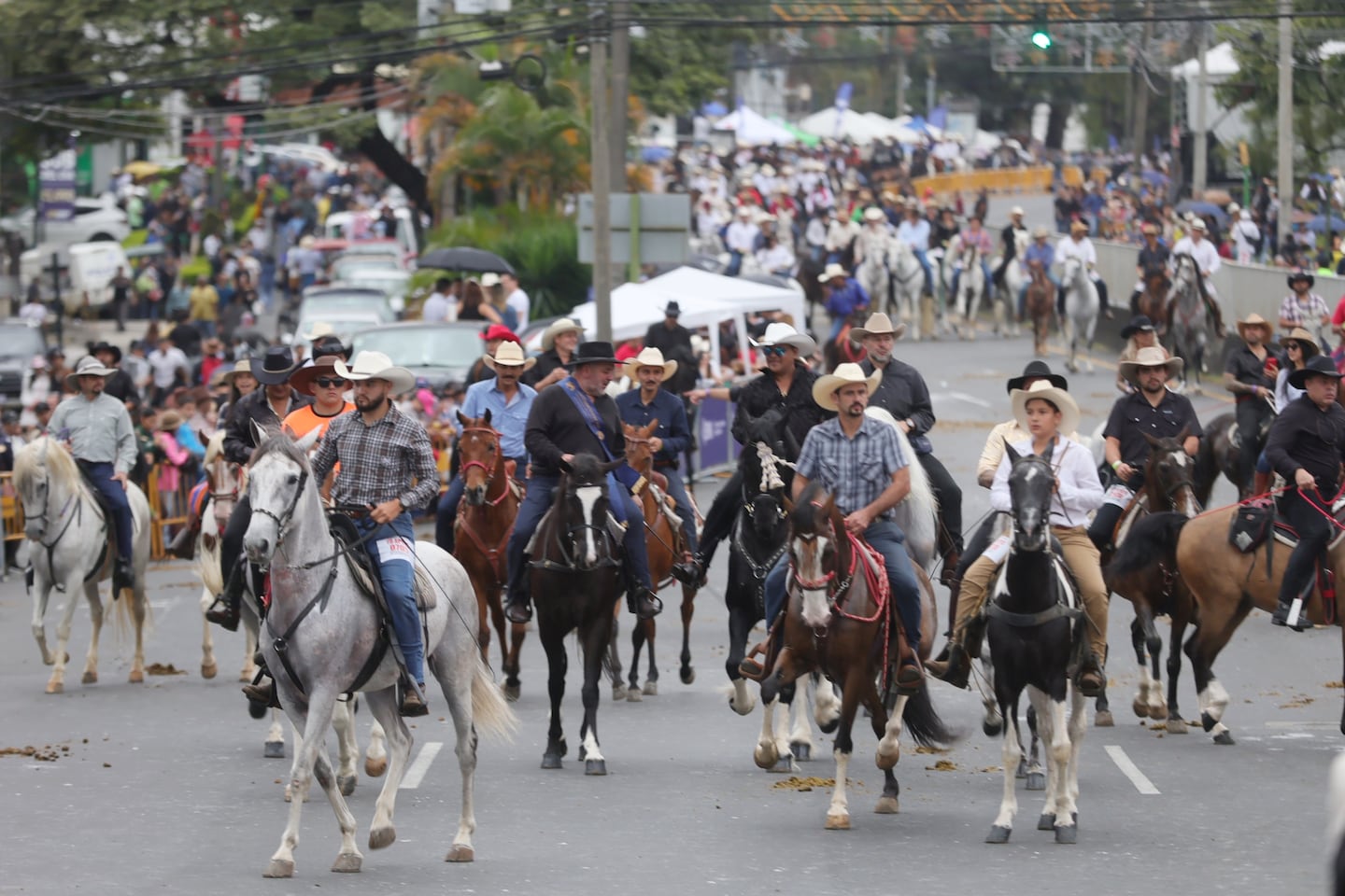 Murieron caballos en el tope de Montes de Oca? | La Teja