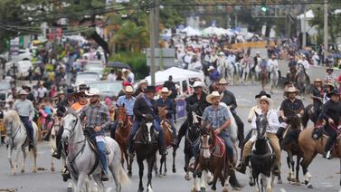 Confirman muerte de yegua en el tope de Montes de Oca, esto dice la municipalidad