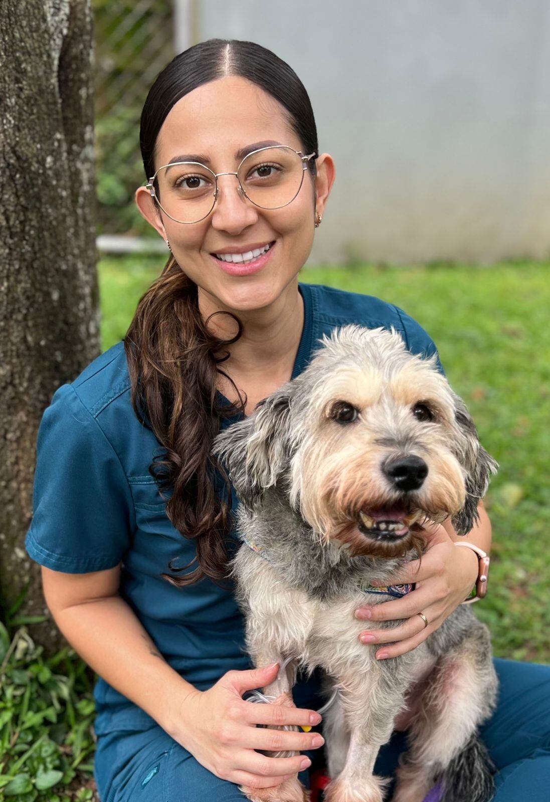 La doctora en veterinaria, Adriana Arce Abarca, reconoce que es importantísimo que aprendamos a identificar cuándo nuestro perrito deja de ser un adulto para pasar a ser un adulto mayor, algo que sucede, en promedio, después de los 8 años