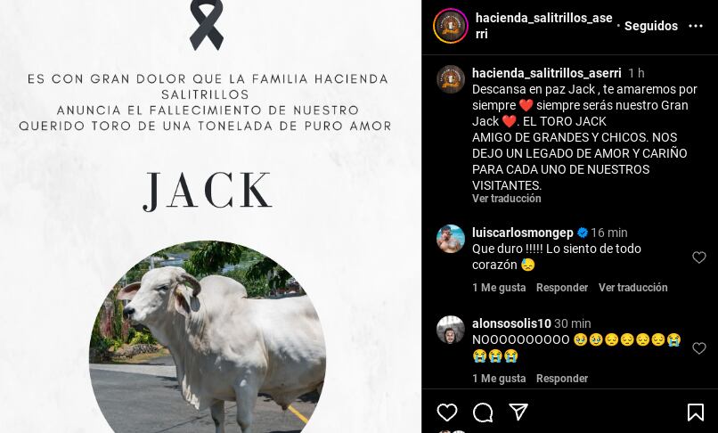 Toro Jack
Hacienda Salitrillos