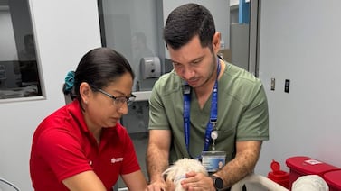 ¿Se imagina ver perros en la UCI de un hospital? Eso está pasando en el Monseñor Sanabria y esta es la razón