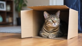 La Teja logo