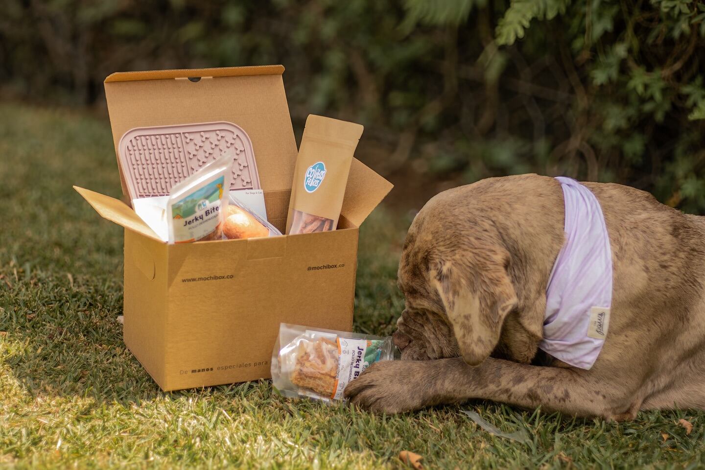 Mario Alberto Murillo Soto es un joven alajuelense de 30 años quien, además de ser músico, deportista y un apasionado por los perros, es un emprendedor con un corazón enorme que puso un negocito que se llama Mochibox