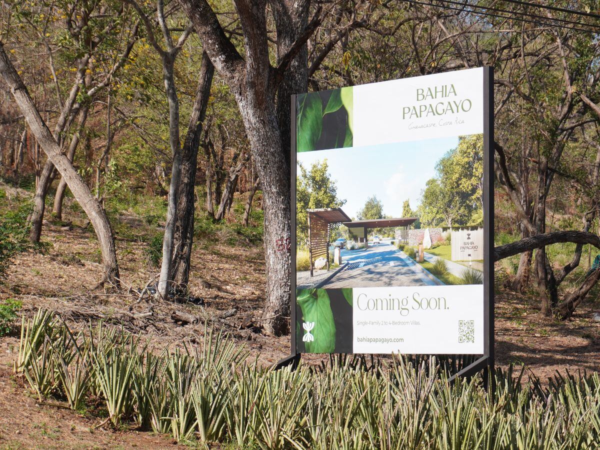 Bahía Papagayo es un enorme proyecto turístico que se las trae.