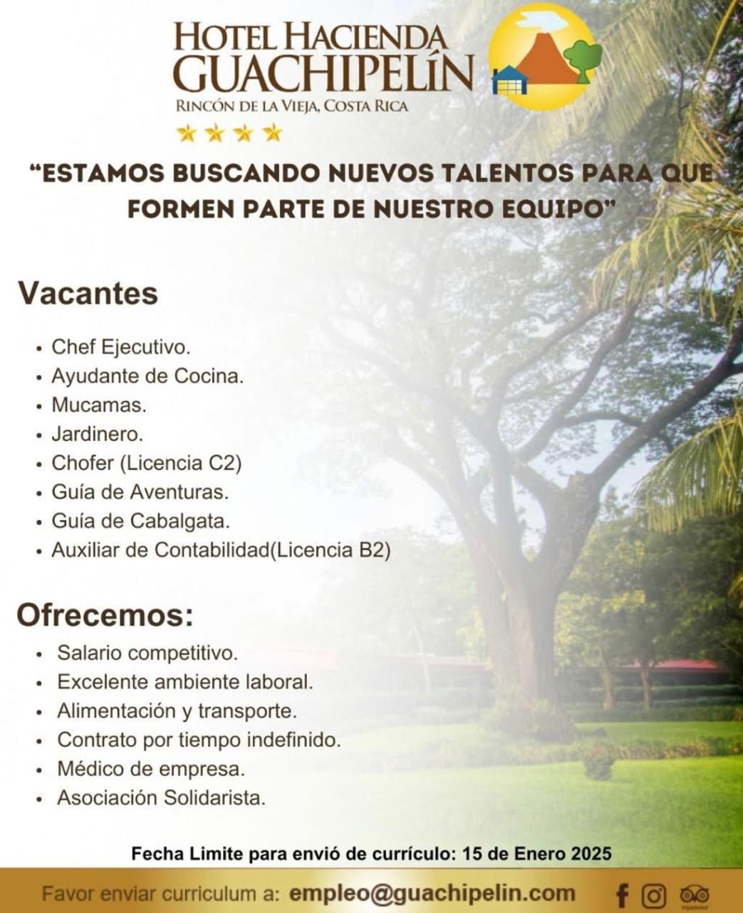 empleo