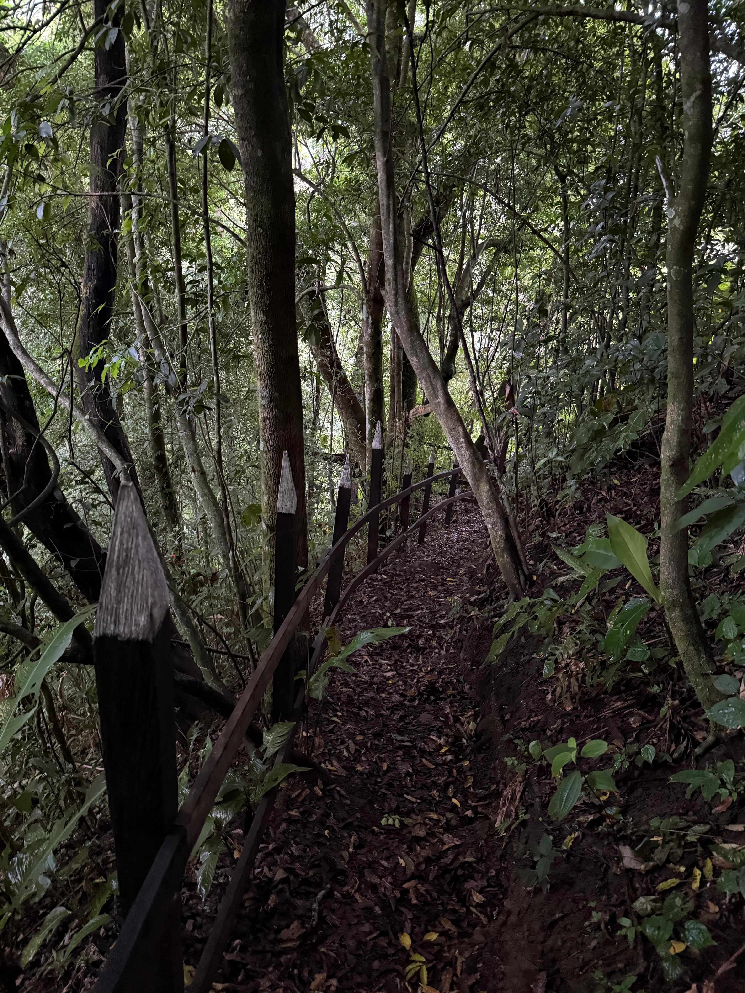 Catarata Sonidos del Silencio
