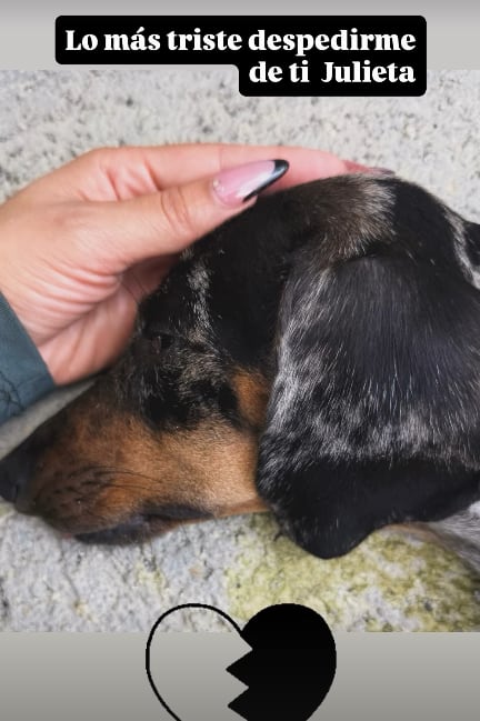 Melissa Mora está muy triste por la partida de su querida Julieta.