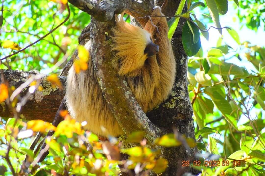 Catarata a una hora de San José es todo un atractivo con sus senderos y frescura.