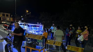 Acuario móvil en Hatillo: Ingenioso negocito jala miradas y ahuyenta a los ladrones